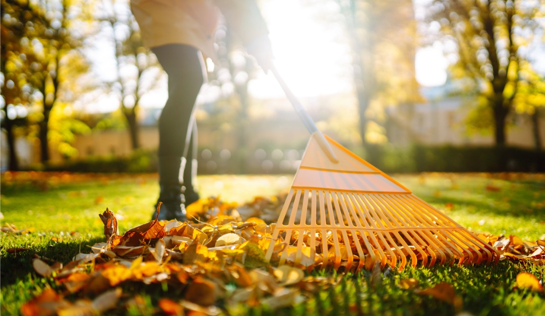 Fall Clean-Up Ideas for Your Home — RISMedia