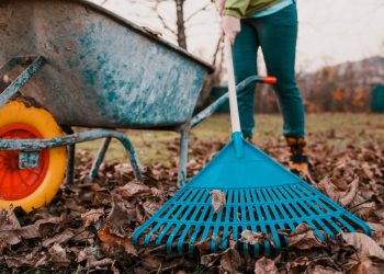 Things You Should Do to Get Your Lawn Ready for Winter
