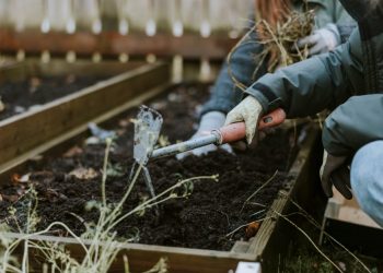Top Tips for Getting Your Garden Ready for Winter