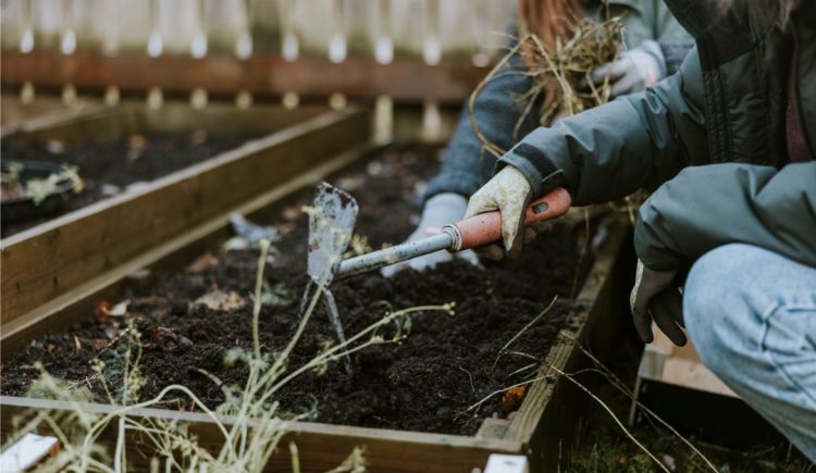 Top Tips for Getting Your Garden Ready for Winter