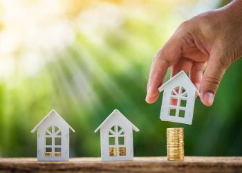 2023 Saw a Decline in Investor Purchases