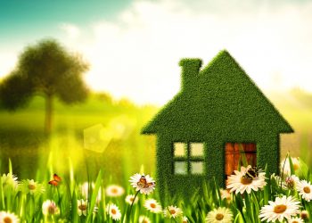 Blooming Success: Essential Tips for Selling a Home in the Spring