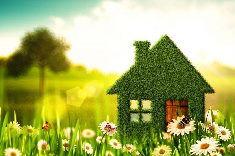 Blooming Success: Essential Tips for Selling a Home in the Spring