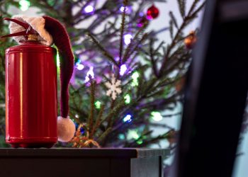 Home Safety Tips for the Holidays
