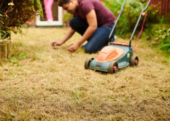 How to Handle Common Fall Lawn Issues