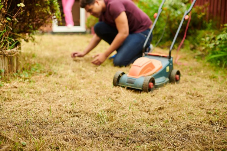 How to Handle Common Fall Lawn Issues