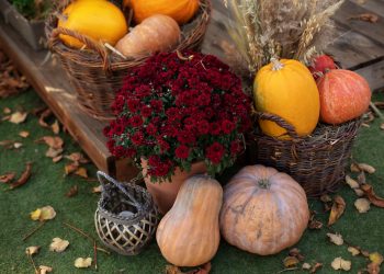 How to Upgrade Your Outdoor Space for Fall