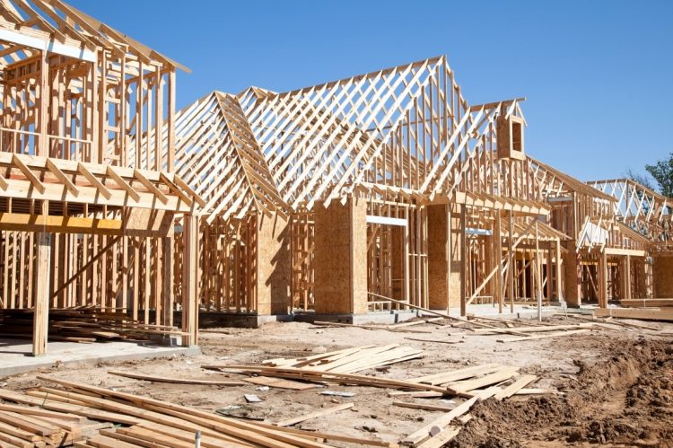 January Sees a Notable Drop in Housing Starts