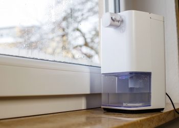 Top Mold Prevention Tips for Your Home