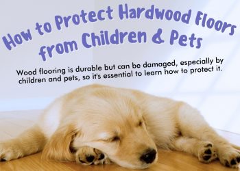 How to Protect Hardwood Floors from Children and Pets