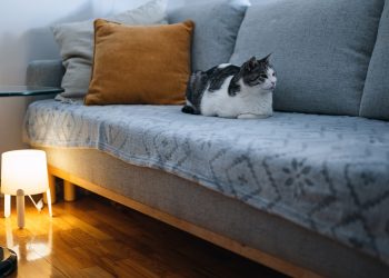 How to Keep Spills From Ruining Your Furniture