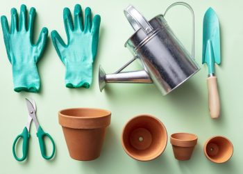 Late Winter Yard Tips to Prep for Spring