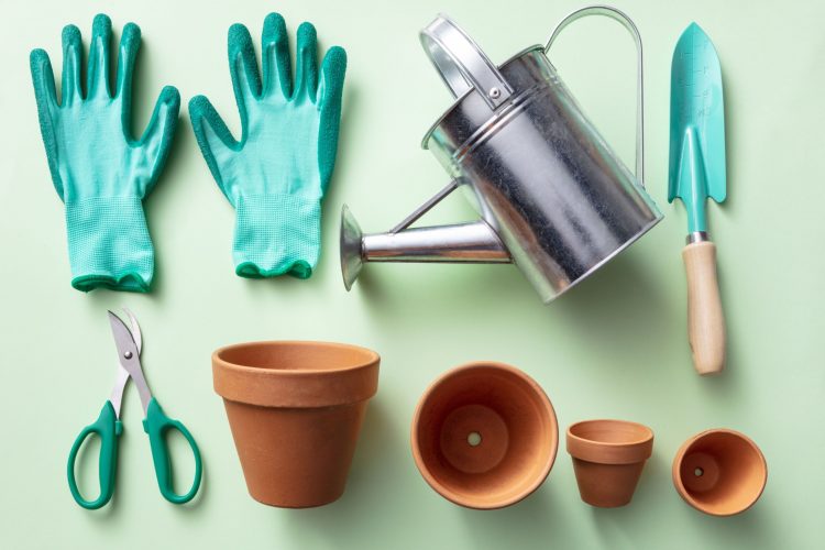 Late Winter Yard Tips to Prep for Spring