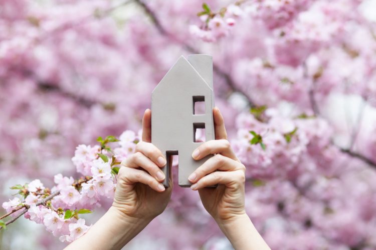 Everything You Need to Know to Buy a Home This Spring