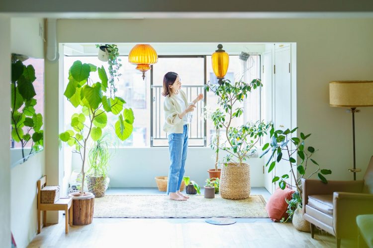 How to Personalize Your Rental Space