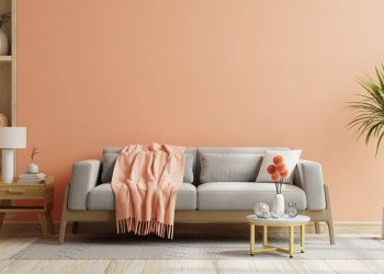 Pantone’s 2024 Color of the Year: Peach Fuzz