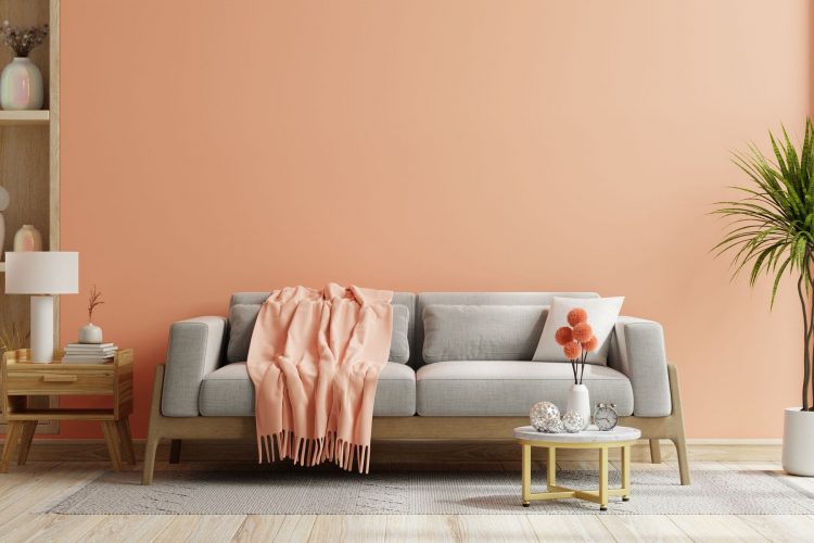 Pantone’s 2024 Color of the Year: Peach Fuzz