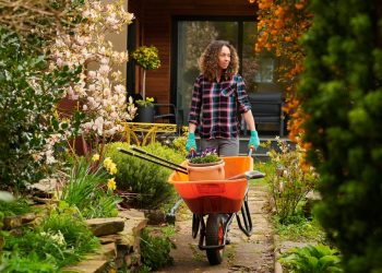 4 Tips to Get Your Home Ready for Spring