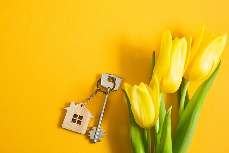 Common Mistakes to Avoid When Buying a Home in the Spring Market