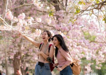 5 Spring Bucket List Ideas to Check Off