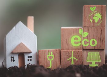 Choosing Sustainable Materials for Your Home