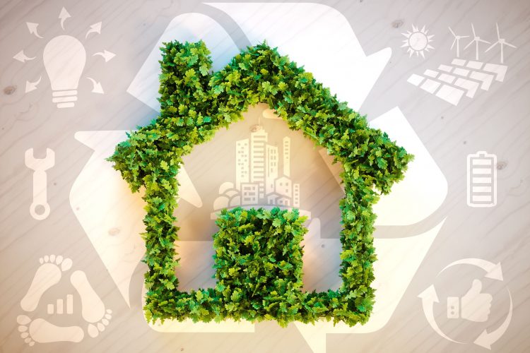 What to Look for in an Eco-Friendly Home