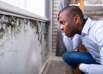 Understanding Mold in Homes: What it is, Common Causes and Why It’s a Concern