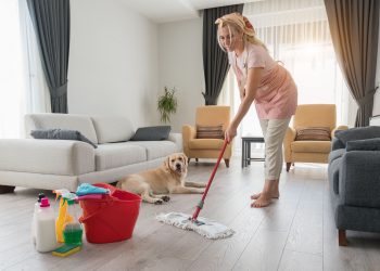 Cleaning Tips to Keep Pet-Loving Homes Fresh and Clean