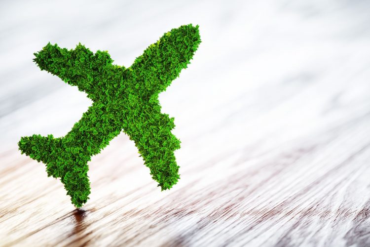 Simple Tips to Make Travel More Sustainably