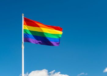 Thoughts on Leadership: The Legacy of Stonewall—Lessons in Courage and Unity