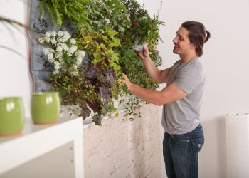 Top Vertical Gardening Tips for Spring and Summer