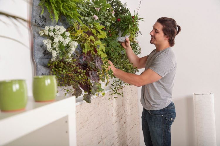 Top Vertical Gardening Tips for Spring and Summer