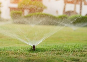 How to Get Your Sprinkler System Ready for Summer