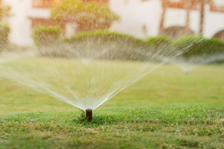How to Get Your Sprinkler System Ready for Summer