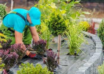 Landscaping Projects With a High Return on Investment