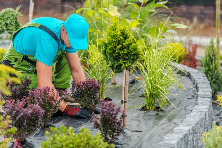 Landscaping Projects With a High Return on Investment