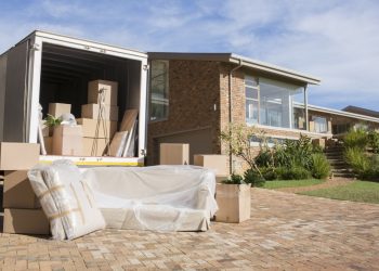 A Look Into Migration Trends Across the U.S.