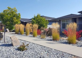 Landscaping Ideas for Busy Homeowners