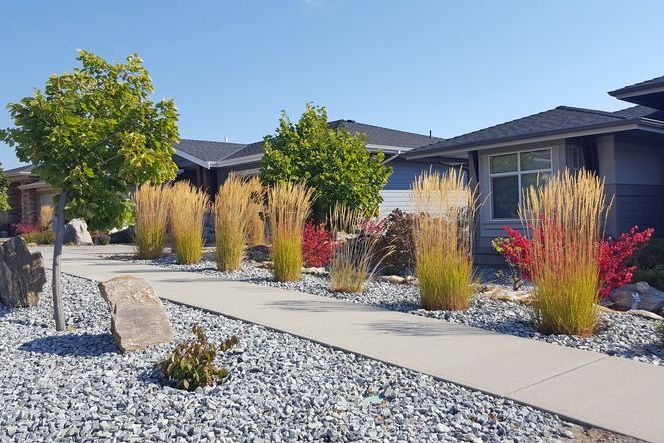 Landscaping Ideas for Busy Homeowners