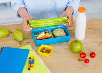 5 Ideas for Easy School Lunches