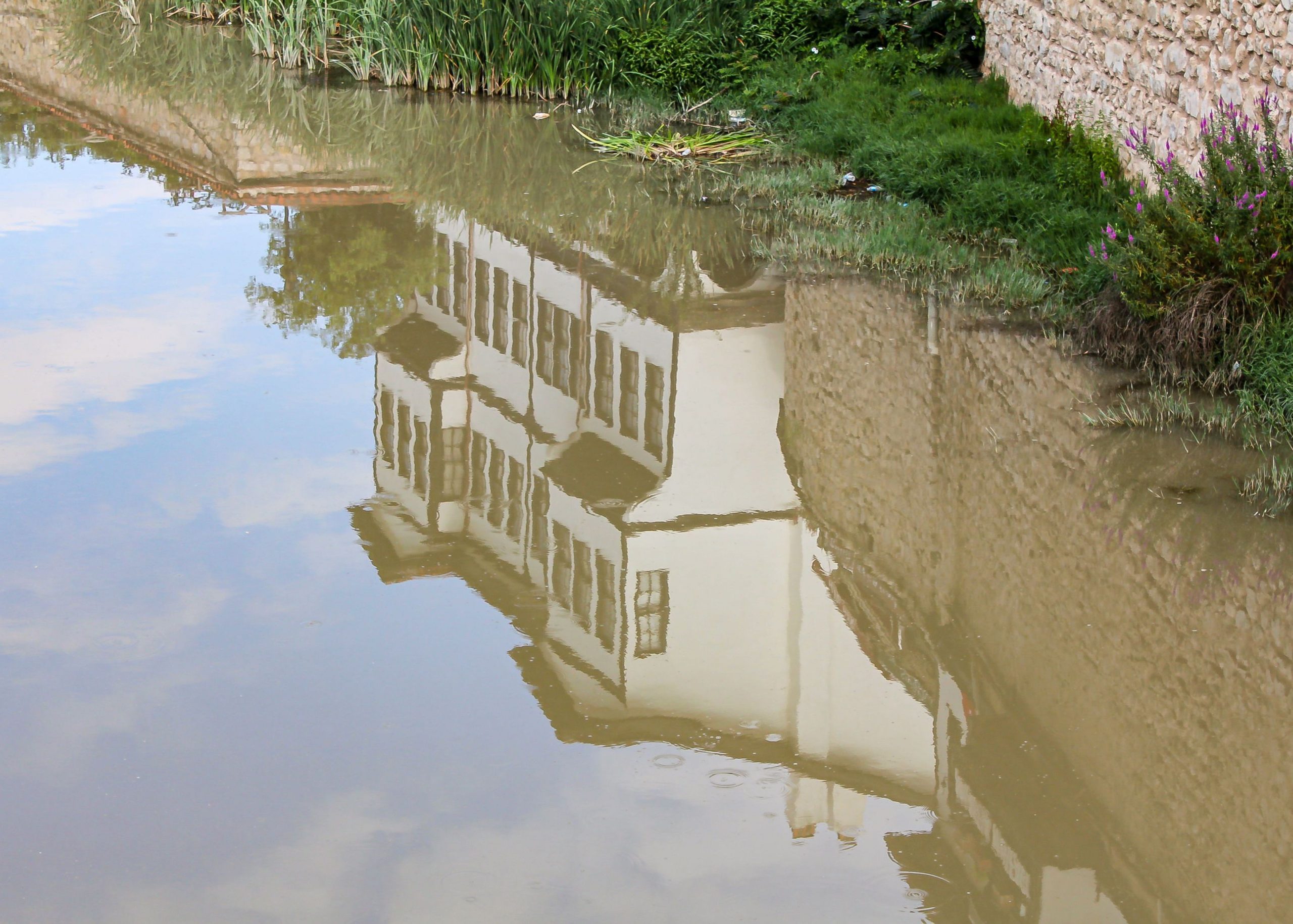 How Puddles Near Your House Can Damage Your Foundation