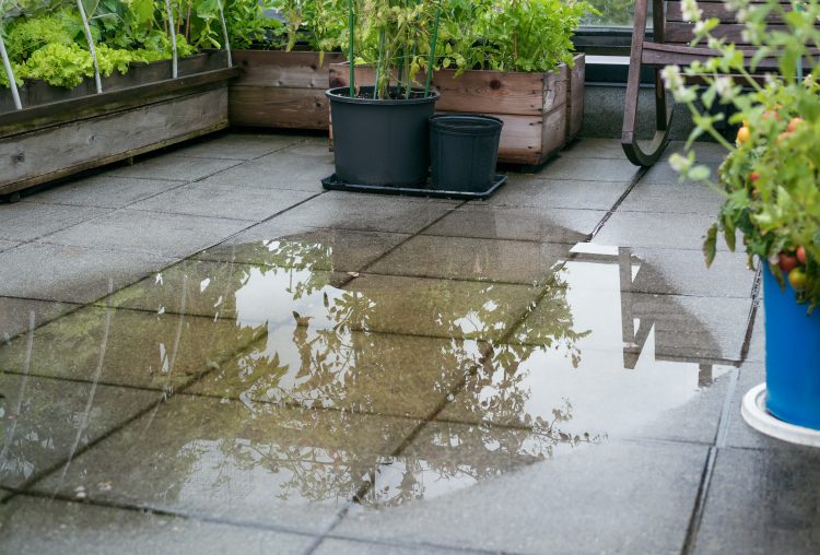 How Standing Water Can Affect Your Deck or Patio