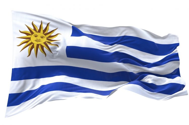 Realty One Group Opens in Uruguay