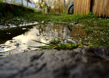 How Standing Water Can Affect Your Family’s Health