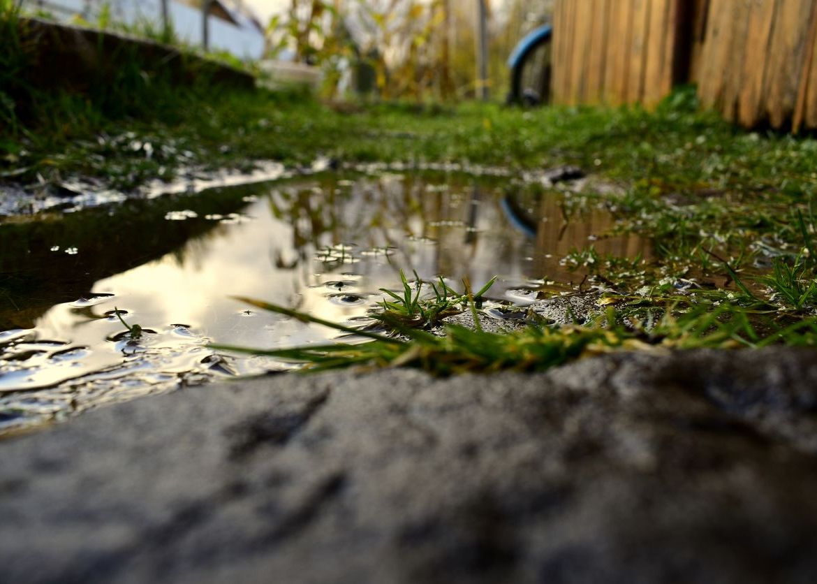 How Standing Water Can Affect Your Family’s Health