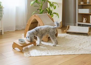 Tips for a Pet-Friendly Home Without Sacrificing Style