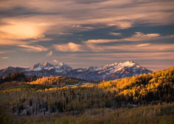 CENTURY 21 Expands Presence in Utah