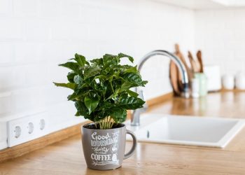 How to Upcycle Old Mugs