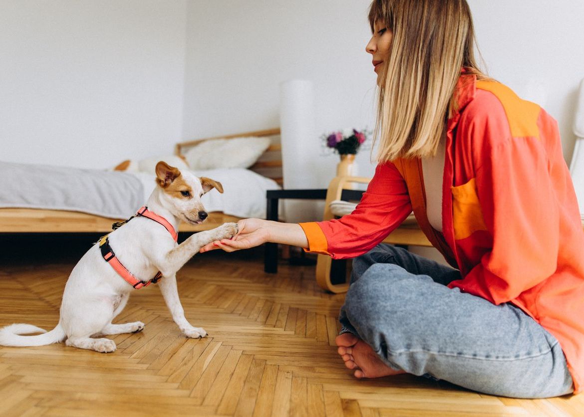 Tips for Helping Your New Dog Adjust