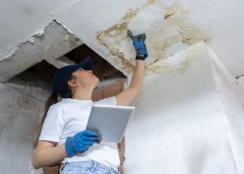 Common Misconceptions About Homeowners Insurance Coverage for Mold